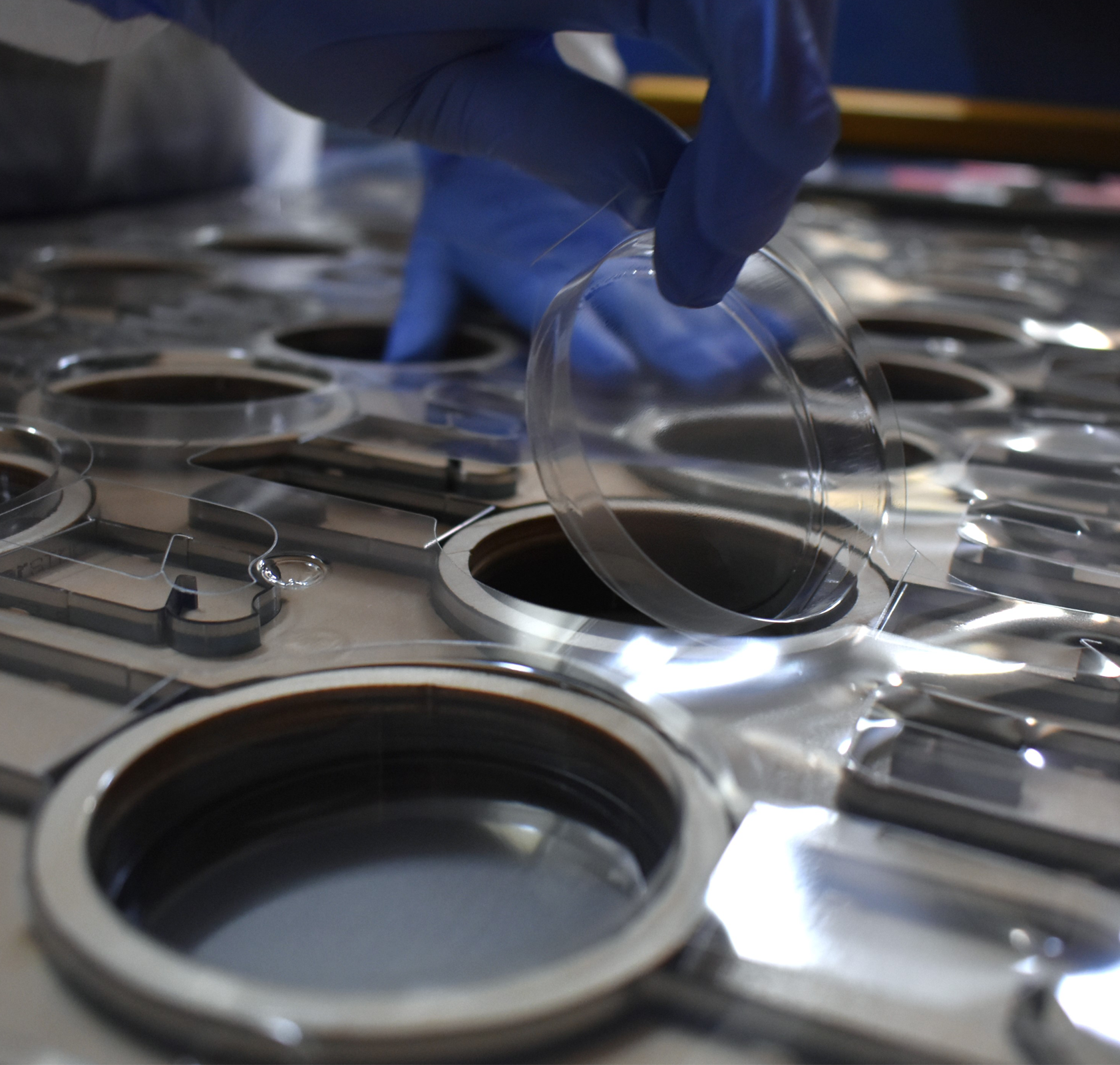 Produkcja opakowań termoformowanych